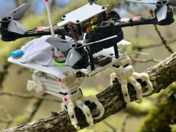 ԱՄՆ-ում ստեղծել են անօդաչու, որը կարող է թռչնի նման նստել ճյուղերին